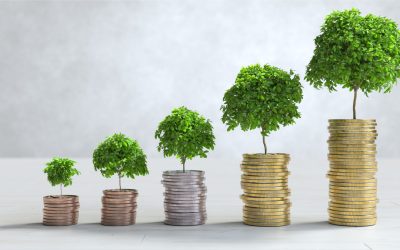 The Irish Pension Challenge and its Implications for the 2020s